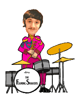 theflamingshakers