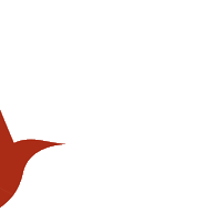 thehummingbirdco