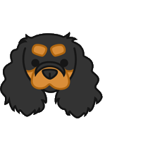 thelittledogpaw