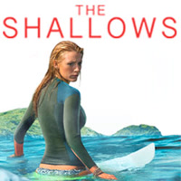 theshallows