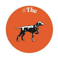 thesolloggroup