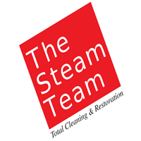 thesteamteam0