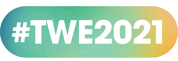 thewellnessexperience