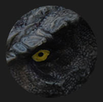 thorenoussardus