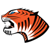 tigercconstructionllc