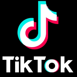 TikTok GIFs - Find & Share on GIPHY
