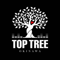 top-tree