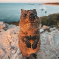 tourismwesternaustralia