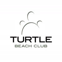 turtlebeachandora