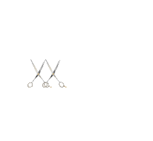 twnty3