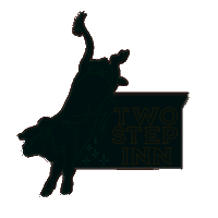 twostepinn