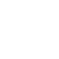 uniquetesla
