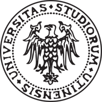 universitadiudine