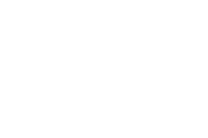 v3electric