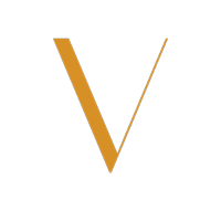 vibevision