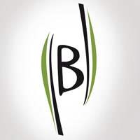 vientosbambu