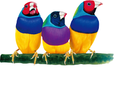 viewsonicph