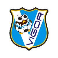vigorcalciofemminile