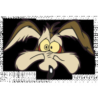 vilecoyote