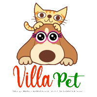 villapetsalvador
