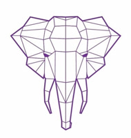violetanatomy
