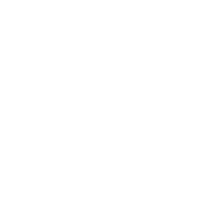 vivomusika