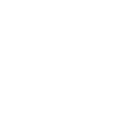 vnpsuomi