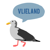 vvvvlieland