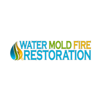 watermoldfirechicago
