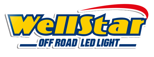 wellstar_led