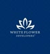 whiteflower01