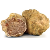 karlictartufi
