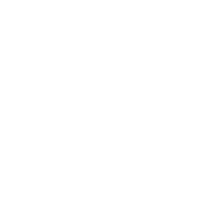 wildbayswim