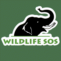 wildlifesos