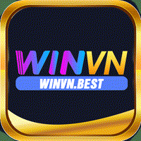 Winvnbest