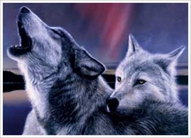 wolflover