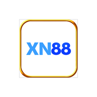 xn881net