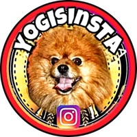 yogisinsta