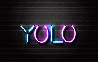yolohackreveal