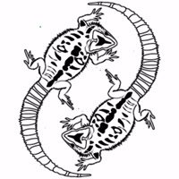 zenhabitats