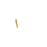 ziyaoberoihotels