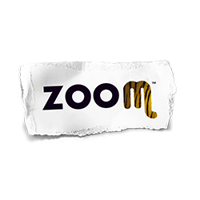 zoom_torino