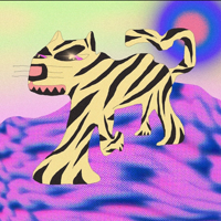 zsofiedocs