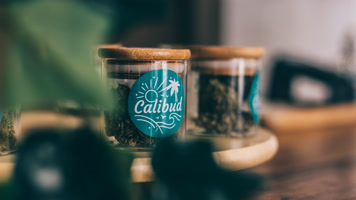 Calibud CBD