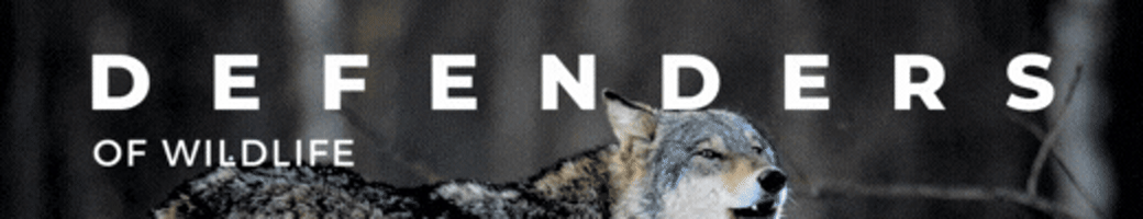 Defenders of Wildlife