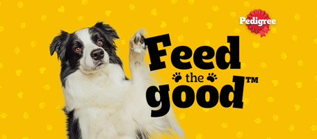 Pedigree_Philippines