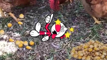 Piwooz