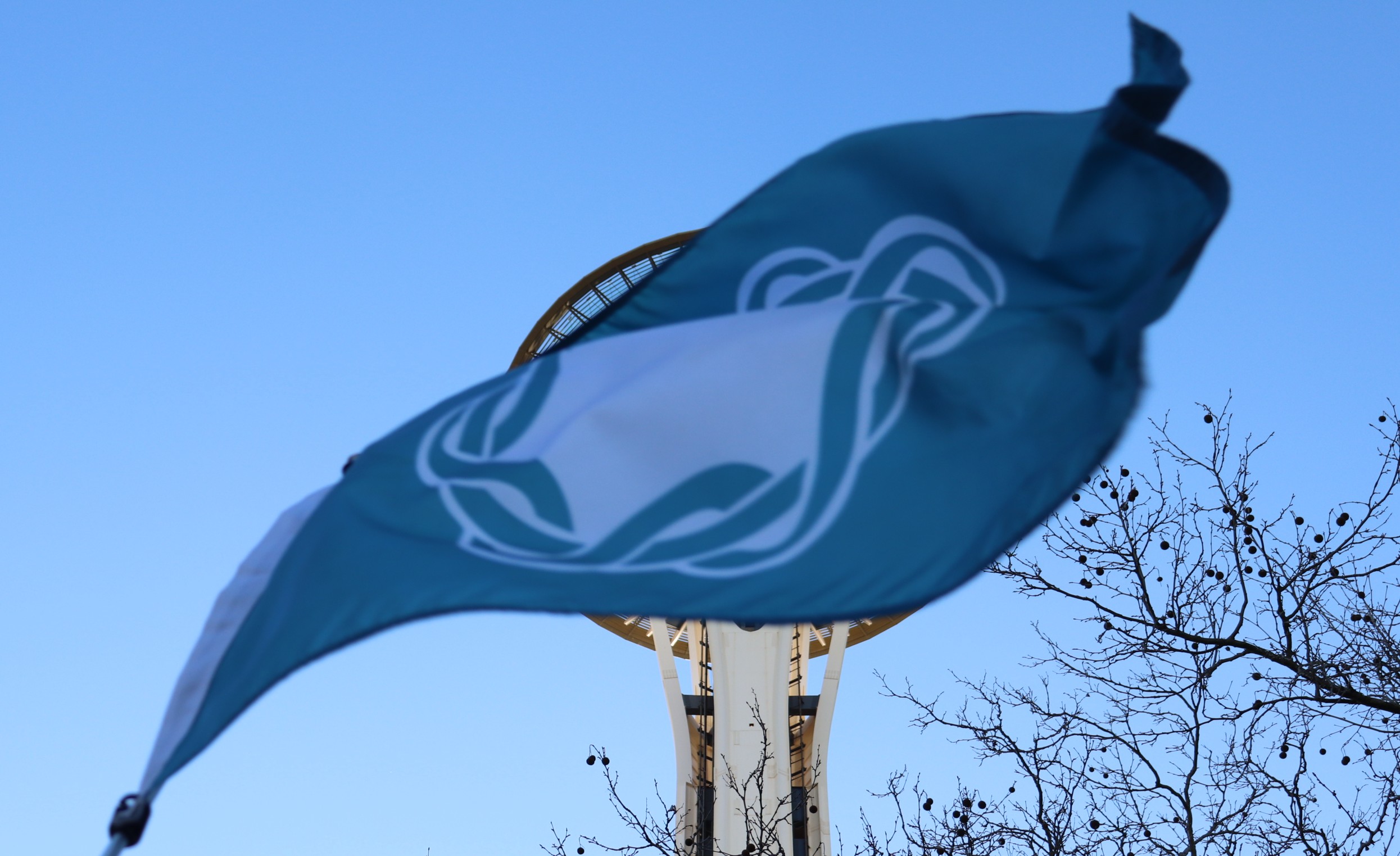 Seattle City Flag
