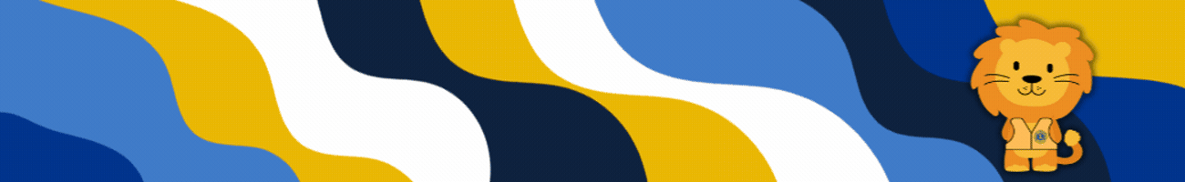 Sugar Land Lions Club