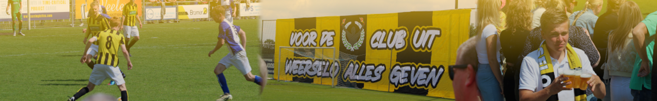 UD Weerselo